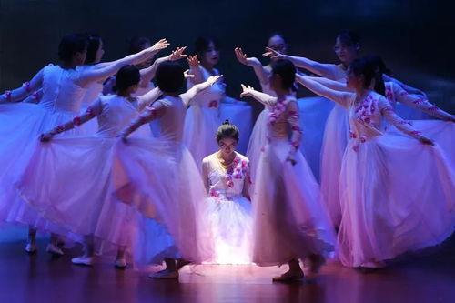 軍校春晚·迎新風采 二十所院校文藝匯演集錦